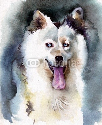 Nadiia Starovoitova, Watercolor Animal Collection: Dog (abstrakt, tier, kunst, pinselstrich, karte, clipart, bunt, entwerfen, hund, zeichnung, ausdruck, grafik, glückwunschkarte, abbildung, alt, malerei, papier, retro, shading, sketch, symbol, symbolisch, vorlage, klang, jahrgang, wash, wasser, wasserfarbe)
