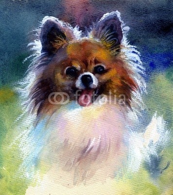 Nadiia Starovoitova, Watercolor Animal Collection: Dog (abstrakt, tier, kunst, pinselstrich, karte, clipart, bunt, entwerfen, hund, zeichnung, ausdruck, grafik, glückwunschkarte, abbildung, alt, malerei, papier, retro, shading, sketch, symbol, symbolisch, vorlage, klang, jahrgang, wash, wasser, wasserfarbe)