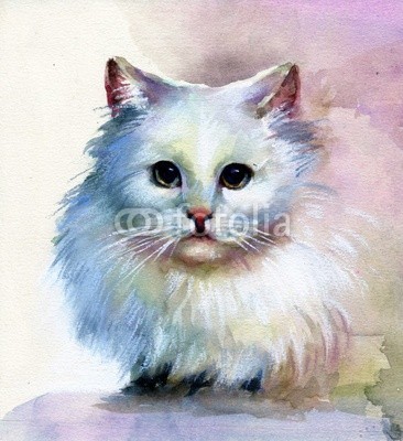 Nadiia Starovoitova, Watercolor Animal Collection: White Cat (abstrakt, tier, kunst, schwarz, pinselstrich, karte, katze, ament, clipart, bunt, entwerfen, zeichnung, ausdruck, grafik, grau, glückwunschkarte, abbildung, katzenbaby, katze, alt, malerei, papier, katze, retro, shading, sketch, symbol, symbolisch, vorlag)