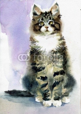 Nadiia Starovoitova, Watercolor Animal Collection: Gray Cat (abstrakt, tier, kunst, schwarz, pinselstrich, karte, katze, ament, clipart, bunt, entwerfen, zeichnung, ausdruck, grafik, grau, glückwunschkarte, abbildung, katzenbaby, katze, alt, malerei, papier, katze, retro, shading, sketch, symbol, symbolisch, vorlag)