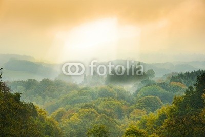 Stefan Körber, Nebelwald (wald, märchen, märchenwald, nebel, landschaft, herbst, mystisch, mystik, natur, holz, baum, horizont, dunst, wetter, abenddämmerung, morgens, natürlich, freiheit, abenteuer, wildnis, spiel, hiking, erholung, stille, beschaulichkeit, romantisc)