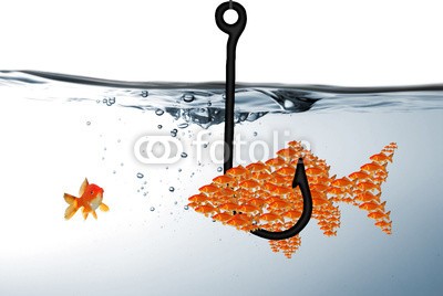 WunderBild, Zielgruppe? (anbieten, fisch, fisch, gefahr, kalender, safety, unterwasser, verlockung, abwarten, angelhaken, fisch, bedrohung, klug, kutsche, nachhilfe, bedrohung, fischzucht, gewinn, goldfisch, haken, hang, jagen, kommunikation, köder, köder, lernen, masche, mobbin)