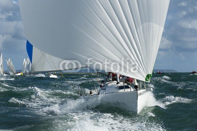 synto, yacht racing in the swell (yacht, sport, segelboot, bogen, wettbewerb, fleet, gruppe, regatta, matrosen, sturm, swells, gespann, well)
