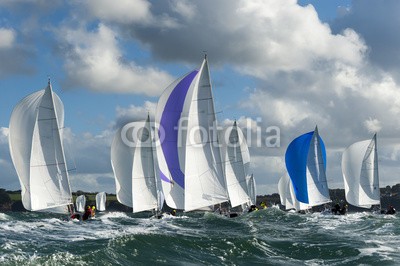 synto, group yacht at regatta (yacht, swells, boot, küste, wettbewerb, fleet, gruppe, regatta, segelboot, skipper, spinnaker, sport, win)