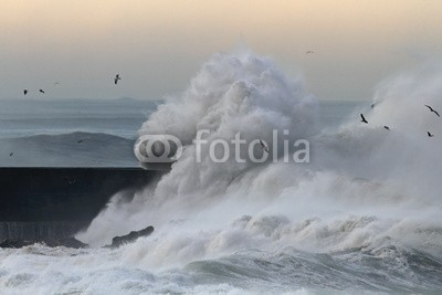 Zacarias da Mata, Big stormy waves (meer, stürmisch, sturm, wind, welle, atlantic, herbst, groß, vögel, kalamität, klima, farbe, wirbelsturm, gefahr, dunkel, tage, katastrophe, dramatisch, energie, fließen, freiheit, gott, schwer, hoffnung, horizont, orkan, landschaft, licht, morgen)