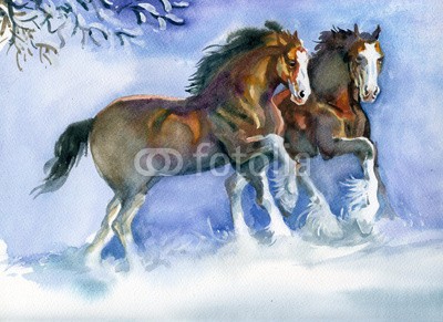 Nadiia Starovoitova, Horses running in winter (bellen, biest, blau, kanter, maronen, skizze, emotion, reiten, einhufer, bauernhof, schnell, feld, force, wald, schicken, frei, freiheit, galopp, grau, grau, gruppe, schwer, herde, pferd, säugetier, mähne, stute, bewegung, moving, natur, orange, kräft)