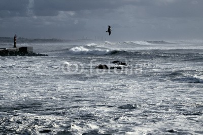 Zacarias da Mata, Blue winter seascape (ozean, winter, seelandschaft, tristesse, blau, atlantic, herbst, leuchtfeuer, groß, klima, wolken, küste, farbe, wirbelsturm, gefahr, dunkel, tage, depression, dramatisch, energie, abend, fließen, freiheit, gott, schwer, hoffnung, horizont, landschaf)
