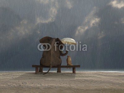 Photobank, elephant and dog sit under the rain (elefant, hund, freundinnen, pflege, wetter, regen, regenschirm, schutz, reisen, tier, rücken, strand, bench, groß, wolken, betrachtung, paar, unterschied, grau, schauend, stimmung, natur, ozean, draußen, bewölkt, relationen, sand, meer, jahreszei)