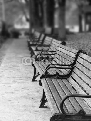 digerati, Paris Park Benches (bench, bench, park, holz, hölzern, metall, stahl, eisen, guss, gießerei, verwischen, weiß, schwarz, schwarzweiß, effekt, paris, dekoration, öffentliche, sit, seat, bestuhlung, herbst, fallen, ausreisen, leaf, latte, boar)