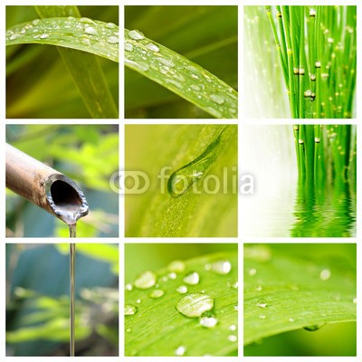 Delphotostock, Collage nature et eau (wasser, zen, natur, gicht, papier, kraut, grün, springbrunnen, bambus, pflanze, natürlich, ökologie, ökologisch, gesunde, sauber, reinheit, schönheit, makro, grün, regen, tau, hydration, wohlbefinden, geist, entspannung, meditation, entspannun)