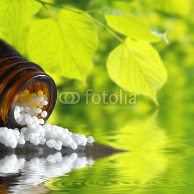 Gerhard Seybert, Globulis auf Holz mit Pflanzen (homöopathie, naturheilkunde, blatt, sonne, sunlight, gesundheit, equisetum, medizin, therapie, heilung, natur, medizin, medikament, tautropfen, wasser, pharmazie, heilpflanzen, blume, kraut, heilpflanzen, pflanze, medikament, gesund, blume, grü)