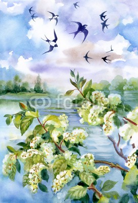 Nadiia Starovoitova, Flowers of the cherry blossoms on a spring day (weiß, wasserfarben, zweig, baum, schwalbe, sommer, frühling, jahreszeit, parfümiert, pflanze, blütenblätter, draußen, natur, zuwachs, grün, gärten, blume, flora, farbe, bündel, hell, verzweigt, blühen, verdammt, blühen, vögel, kunst, tie)