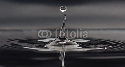 Gianfranco Bella, Goccia d'acqua (wasser, abstrakt, nass, schönheit, weiß, blues, hell, dunkel, schwarz, farbe, blume, foto, fotografie, frisch, perlen, bild, kräuseln, flüssig, licht, welle, sauber, reinheit, backgrounds, gischt, durchsichti)