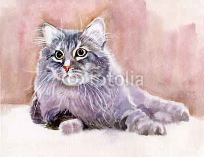 Nadiia Starovoitova, Animal Collection: Cat (weiß, wasserfarben, wasser, wash, jahrgang, klang, vorlage, symbolisch, sketch, shading, katze, haustier, papier, malerei, alt, katze, katzenbaby, abbildung, grau, grafik, ausdruck, zeichnung, entwerfen, bunt, clipart, ament, katze, karte, schmetterlin)