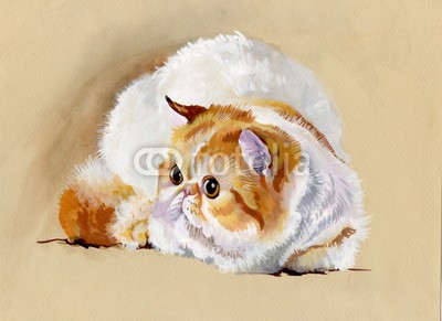Nadiia Starovoitova, Animal Collection: Cat (weiß, wasserfarben, wasser, wash, jahrgang, klang, vorlage, symbolisch, sketch, shading, katze, haustier, papier, malerei, alt, katze, katzenbaby, abbildung, grau, grafik, ausdruck, zeichnung, entwerfen, bunt, clipart, ament, katze, karte, schmetterlin)