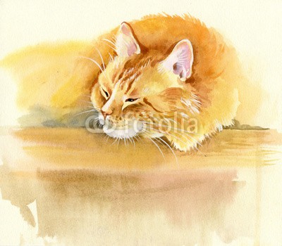 Nadiia Starovoitova, Animal Collection: Cat (weiß, wasserfarben, wasser, wash, jahrgang, klang, vorlage, symbolisch, sketch, shading, katze, haustier, papier, malerei, alt, katze, katzenbaby, abbildung, grau, grafik, ausdruck, zeichnung, entwerfen, bunt, clipart, ament, katze, karte, schmetterlin)