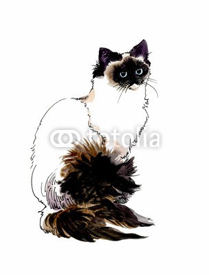 Nadiia Starovoitova, Animal Collection: Cat (weiß, wasserfarben, wasser, wash, jahrgang, klang, vorlage, symbolisch, sketch, shading, katze, haustier, papier, malerei, alt, katze, katzenbaby, abbildung, grau, grafik, ausdruck, zeichnung, entwerfen, bunt, clipart, ament, katze, karte, schmetterlin)