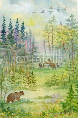 Nadiia Starovoitova, Bear in the woods (wildlife, wild animals, wild, braunbär, baum, borealer nadelwald, sunrise, räuber, kraftvoll, nordic, natur, blick, killer, huge, wald, finnland, fauna, gefährlich, gefahr, naturschutz, braunbär, big bear, bär, tier, angriffslusti)