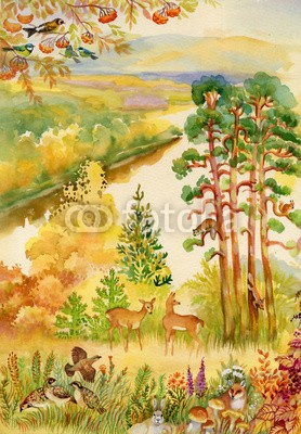 Nadiia Starovoitova, Autumn landscape with deer (wildlife, wild, westen, wildbret, pokal, reisen, sunlight, stehendes, stag, sport, raum, himmel, jahreszeit, ländliche, prärie, plain, draußen, 1, natur, maultier, mütter, morgens, wiese, männlich, hoheitsvoll, schauend, beleuchtung, landschaft, jag)