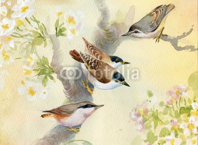 Nadiia Starovoitova, Birds on a blossoming apple tree (rahe, hölzern, holz, wildlife, wild, aufpassen, baum, süss, steine, spring-time, frühling, beschützen, jahreszeitlich, rustikal, dach, schutz, pole, park, aussen, draußen, orchid, nest, natur, natürlich, leaf, haus, zuhause, handgemacht, heimat, grü)