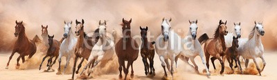loya_ya, A herd of horses running on the sand storm (wild, mustang, sturm, zuchthengst, herde, staub, freiheit, reiten, pferd, kräfte, biest, fohlen, sand, stark, männlich, einhufer, schienen, galopp, laufen, frei, amphetamine, moving, bewegung, emotion, mähne, force, boden, schnell, aktion, tier, arabisc)