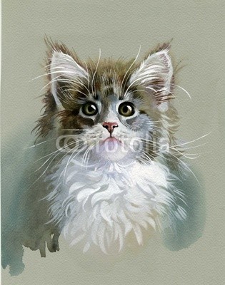 Nadiia Starovoitova, Watercolor Animal Collection: Gray Cat (abstrakt, tier, kunst, schwarz, pinselstrich, karte, katze, ament, clipart, bunt, entwerfen, zeichnung, ausdruck, grafik, grau, glückwunschkarte, abbildung, katzenbaby, katze, alt, malerei, papier, katze, retro, shading, sketch, symbol, symbolisch, vorlag)