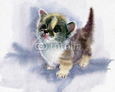 Nadiia Starovoitova, Watercolor Animal Collection: Kitten (tier, kunst, schwarz, blau, pinselstrich, karte, katze, ament, clipart, bunt, entwerfen, zeichnung, ausdruck, grafik, grau, abbildung, katze, alt, malerei, papier, haustier, katze, retro, shading, sketch, symbol, symbolisch, vorlage, klang, jahrgang, was)