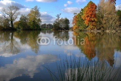 Paul Lampard, Autumn lake scene showing a strong reflection from the water (schöpfung, herbst, baum, verzweigt, natur, holz, landschaft, umweltschutz, leaf, lush, busch, landschaftlich, welt, jahreszeit, schönheit, umwelt, wasser, besinnung, see, farb)