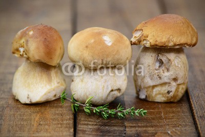 photocrew, Pilze,Holz (cep, pilz, kochen, pilz, stiel, chapeau, cep, wald, essbar, essen, zutaten, lecker, essen, spaß, vielfraß, kreativ, boletus, herbst, sommer, sammeln, küche, frisch, kraut, thymia)