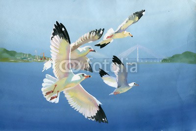 Nadiia Starovoitova, Watercolor seagulls (tier, kunst, kunstvoll, artwork, vögel, blau, brise, hell, bunt, kreativität, entwerfen, federn, flug, fliegender, freiheit, frische, gull, handgemacht, handarbeit, horizont, horizontale, eindrücke, landschaft, morgens, ozean, original, malere)