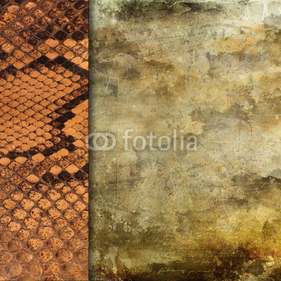 Grafix132, Fond grunge doré et peau de seprent (backgrounds, styling, reptilia, retro, grunge, abstrakt, oberfläche, leerstehend, alligator, schlange, sonnenverbrannt, konzept, maßstab, braun, postkarte, buchung, beschäftigen, wetter, plakat, materie, druckerei, backgrounds, textur, beschäftige)