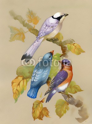 Nadiia Starovoitova, Birds on a blossoming tree (tier, backgrounds, hinterhof, vögel, vogelbeobachtung, verdammt, blühen, verschwommen, entwerfen, zeichnung, federn, essen und trinken, feeder, blume, essen, wald, gärten, grün, heimat, handgemacht, zuhause, haus, abbildung, leaf, natürlich, natu)