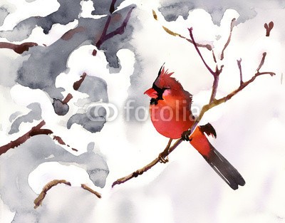 Nadiia Starovoitova, Red bird on a branch with snow (kunst, kunstvoll, esche, backgrounds, vögel, verzweigt, kardinal, feier, weihnachten, kalt, hübsch, dekoration, entwerfen, zeichnung, elegant, federn, wald, rahmen, begrüssung, grunge, freudig, urlaub, abbildung, fröhlich, natürlich, natur, ne)