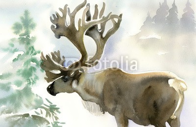 Nadiia Starovoitova, Moose in winter forest (tier, geweih, arktis, backgrounds, kanada, rentier, weihnachten, kalt, hirsch, entwerfen, zeichnung, gezeichnet, elch, wald, herde, jagen, abbildung, lappland, säugetier, elch, natürlich, natur, norden, malerei, papier, rentier, skandinavien, vekto)