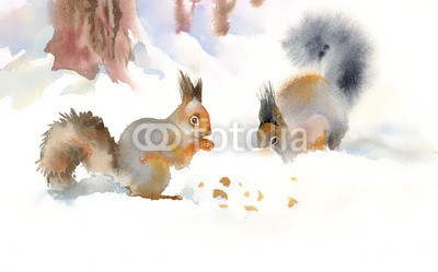 Nadiia Starovoitova, Winter squirrels eating nuts in the snow (tier, tierbaby, dezember, entwerfen, zeichnung, feeds, flaumig, essen, wald, frost, pelzig, abbildung, jan, natürlich, natur, nuss, draußen, malerei, papier, schnee, schneeverwehung, schneefall, eichhörnchen, wasserfarben, weiß, wild, wildlife, winte)
