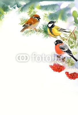 Nadiia Starovoitova, Two birds and bullfinch on the snowy branch (tier, kunst, artwork, backgrounds, schnäbel, schöner, schönheit, vögel, verzweigt, brier, hell, gimpel, weihnachten, kalt, farbe, bunt, kreativität, hübsch, entwerfen, details, frost, hand, handarbeit, abbildung, isoliert, natürlich, natur, 1, bemal)