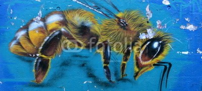 celeste clochard, graffiti (graffiti, wand, gischt, ausdruck, gesicht, jugendzeit, vorstadt, schweiz, europa, list, blick, design, konzept, bild, vorstellung, wert, moralisch, abstrakt, kuns)