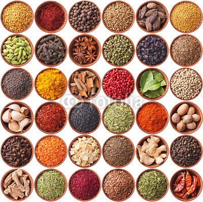 andriigorulko, collection of different spices and herbs isolated on white (set, sammlung, sortiment, different, gewürz, hintergrund, kraut, isoliert, saffron, würze, salz, zimt, petersilie, piment, gewürznelke, kardamom, koriander, pfeffer, pfefferkörner, kümmel, fenchel, rosmarin, senf, berberitze, dill, chilies, ingwe)