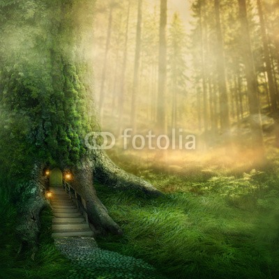 Elena Schweitzer, Fantasy tree house (baum, wald, magisch, surreal, traum, licht, laterne, leuchten, tür, draußen, way, ausreisen, nebel, verträumt, abenteuer, niemand, natürlich, mysterium, grün, zündend, lampe, geheimnisvoll, dunkelheit, tiefe, hell, nacht, dunkel, fantasy, märche)