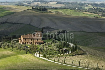 Blickfang, Toscana Landschaft Italien (italien, reisen, reise, reiseziel, touristisch, sehenswürdigkeit, toskana, europa, orientierungspunkt, urlaub, geschichtlich, panorama, landschaft, landwirtschaftlich, zypresse, grün, jahreszeit, vermisse)