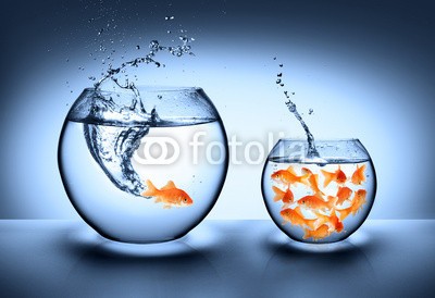 Romolo Tavani, goldfish jumping - improvement concept (verbesserung, fisch, sprung, schüssel, zuwachs, anführer, entfliehen, mutig, konzept, business, goldfisch, herausforderung, karriere, freiheit, springen, dicht, menschenmenge, wasser, frei, konzeptionell, ausfahrt, aquarium, überfüllt, sehnsuch)