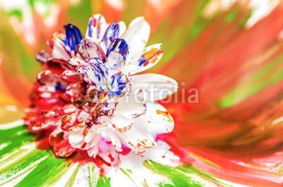 Maury Mauser, Painted Flower (weiß, blut, blume, rot, kühl, liebe, konzeptionell, makro, close-up, stilleben, kunst, kunstvoll, nass, verschmutzt, natur, blütenblätter, schöner, emotion, gefühl, malen, bemalt, verfärbt, malerei, pure, unschuldig, blau, halb, sätze, platsc)
