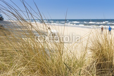 reachart777, Dune with beach grass in the foreground. (sanddünen, strand, gras, meer, norden, sommer, sand, gehwege, seeküste, wasser, blau, horizont, seelandschaft, europa, natur, grün, atlantic, himmel, draußen, umwelt, küstenlinie, schöner, reisen, backgrounds, sunlight, idyllisc)