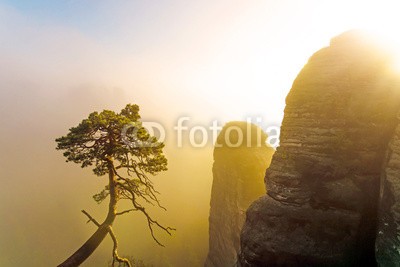 Visions-AD, Morgensonne bei Nebel im Gebirge (sunrise, berg, baum, kiefer, nebel, berg, sunlight, sonnenstrahl, gold, wolken, landschaft, hiking, sonne, vale, bergsteigen, felsen, morgens, urlaub, bonsai, sachsen, sächsische schweiz, deutsch, berg, natur, wald, bewegung, romantisch, stimmungsvol)