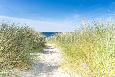 reachart777, Dune with beach grass close-up. (sanddünen, strand, gras, meer, sommer, sand, norden, sylt, gehwege, wasser, blau, horizont, seelandschaft, holland, europa, bretagne, natur, grün, atlantic, himmel, sanddünen, draußen, umwelt, küstenlinie, schöner, reisen, niemand, background)