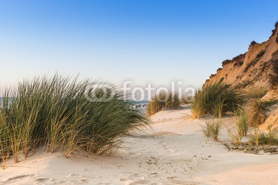 reachart777, Dune with beach grass in the foreground. (sanddünen, strand, gras, meer, sommer, sand, gehwege, seeküste, norden, wasser, blau, horizont, seelandschaft, europa, natur, grün, atlantic, himmel, draußen, umwelt, küstenlinie, schöner, reisen, backgrounds, sunlight, idyllisc)