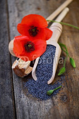 photocrew, Samen (mohn, kapsel, blume, samen, bake, essen, gewürz, kochen, essen, essen, nahrungsmittel, zutaten, küche, blume, blume, blume, blütenblätter, flora, mohn, knospe, pflanze, rot, sommer, tort)