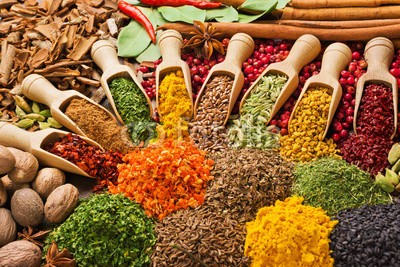 andriigorulko, composition with different spices and herbs (gewürz, kraut, würze, zutaten, trocken, sätze, bunt, schlenge, zimt, muskatnuß, sternanis, chilies, pfeffer, dill, minzen, flachs, paprika, bockshornklee, rosmari)