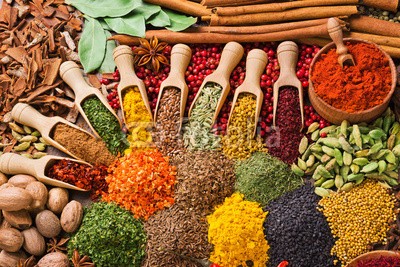 andriigorulko, composition with different spices and herbs (gewürz, kraut, würze, zutaten, trocken, sätze, bunt, schlenge, zimt, muskatnuß, sternanis, chilies, pfeffer, dill, minzen, flachs, paprika, bockshornklee, rosmari)
