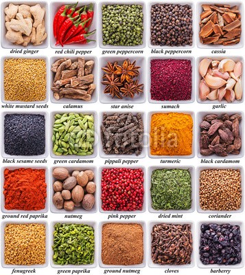 andriigorulko, collection of different spices and herbs (set, sammlung, sortiment, different, gewürz, hintergrund, kraut, isoliert, viereck, label, text, titel, würze, zimt, gewürznelke, kardamom, koriander, pfeffer, pfefferkörner, senf, berberitze, chilies, ingwer, anis, stern, muskatnuß, calamus, knoblauc)